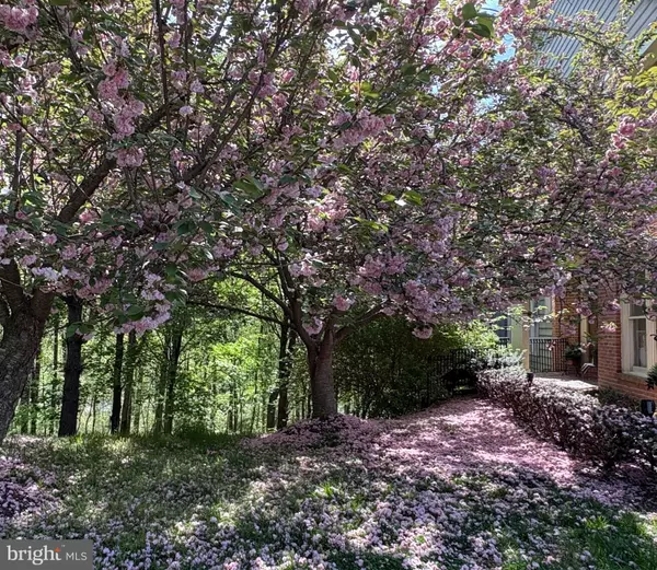 Potomac, MD 20854,11107 POTOMAC CREST DR