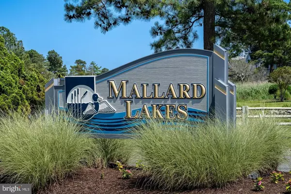 Selbyville, DE 19975,38303 BLUEBIRD LN #359