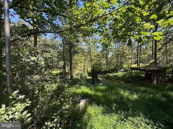 Orrtanna, PA 17353,379 ORCHARD RD