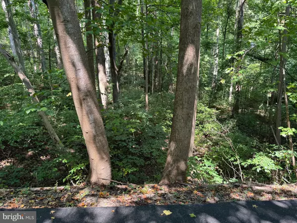 Chesapeake Beach, MD 20732,4685 CAMP ROOSEVELT DR