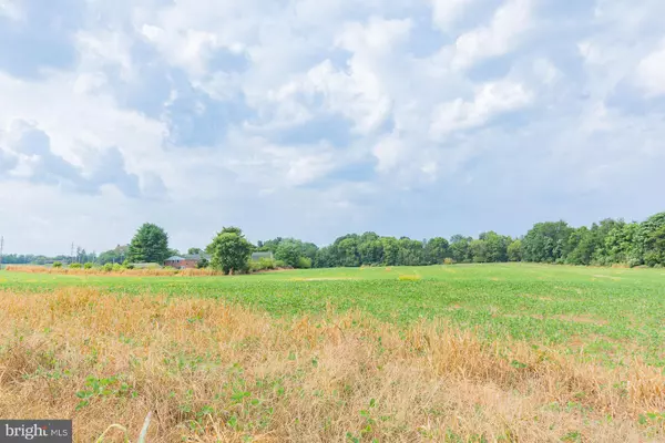 Harpers Ferry, WV 25425,SHEPHERDSTOWN PIKE