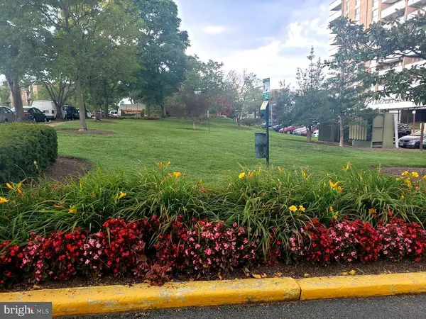 Alexandria, VA 22304,250 S REYNOLDS ST #206