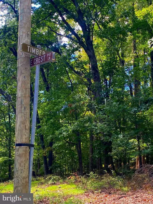 Bluemont, VA 20135,17A1-5-15 TIMBER LN