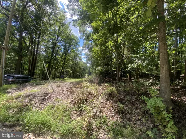 Bluemont, VA 20135,17A1-5-15 TIMBER LN