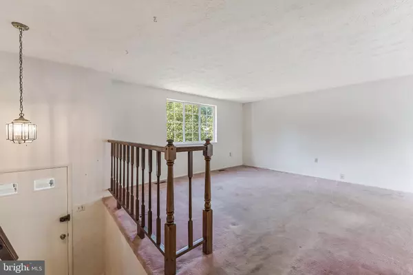 Vienna, VA 22181,9803 OLEANDER