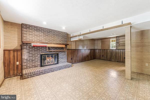 Vienna, VA 22181,9803 OLEANDER