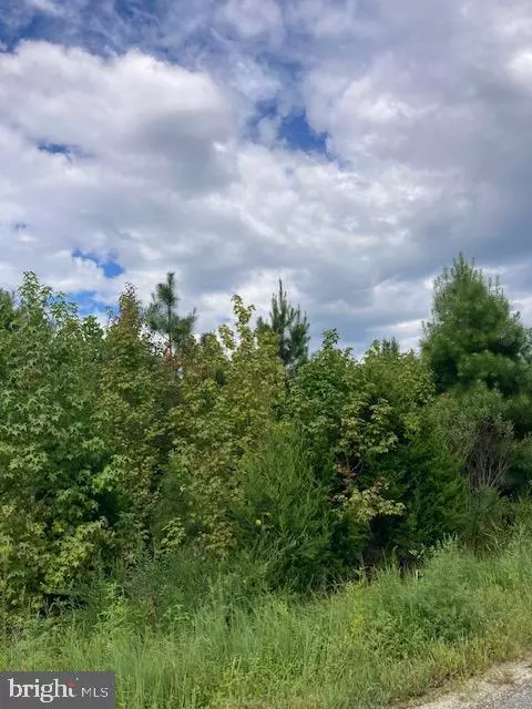 Kinsale, VA 22488,KELLY RD