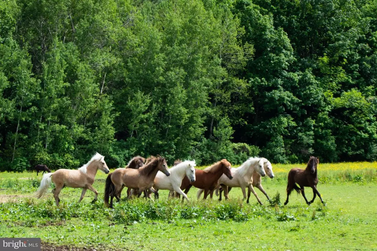 York Springs, PA 17372,385 LATIMORE CREEK RD