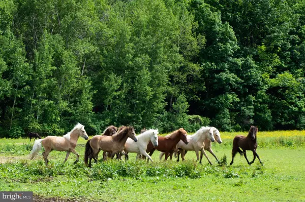 385 LATIMORE CREEK RD, York Springs, PA 17372