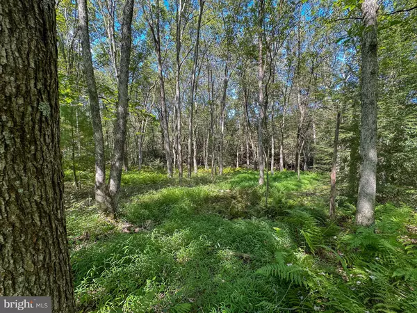 Jim Thorpe, PA 18229,0 DRAKES DR