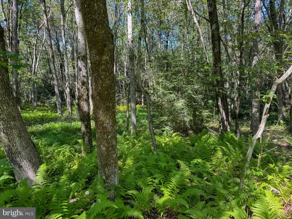 0 DRAKES DR, Jim Thorpe, PA 18229