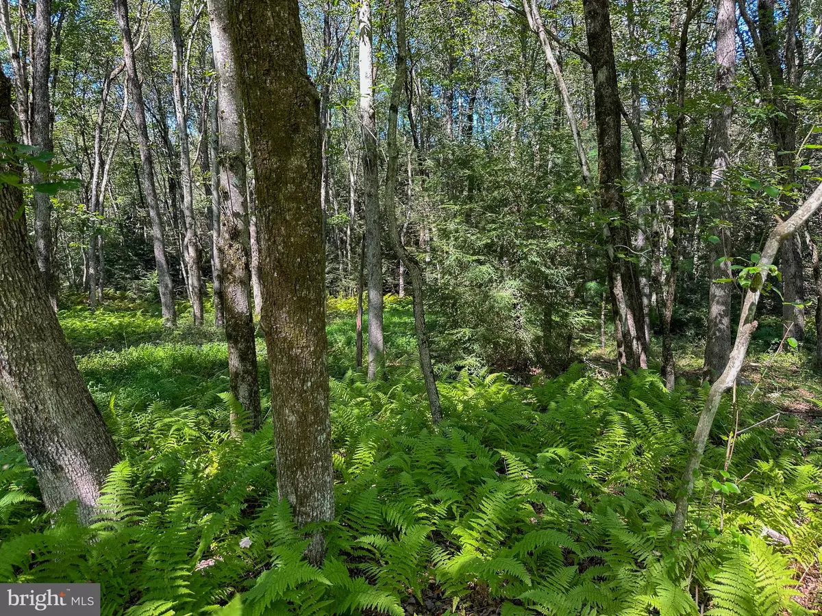 Jim Thorpe, PA 18229,0 DRAKES DR