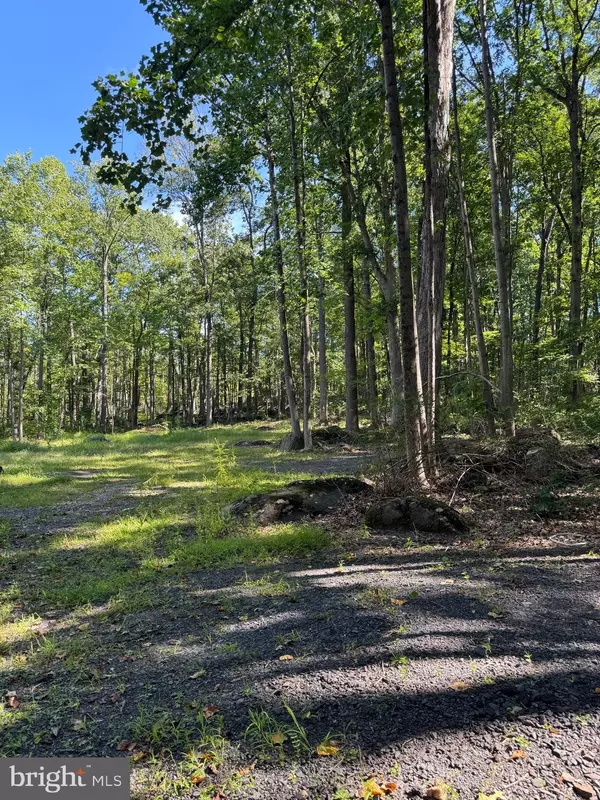 468 ROCK RIDGE RD, Upper Black Eddy, PA 18972