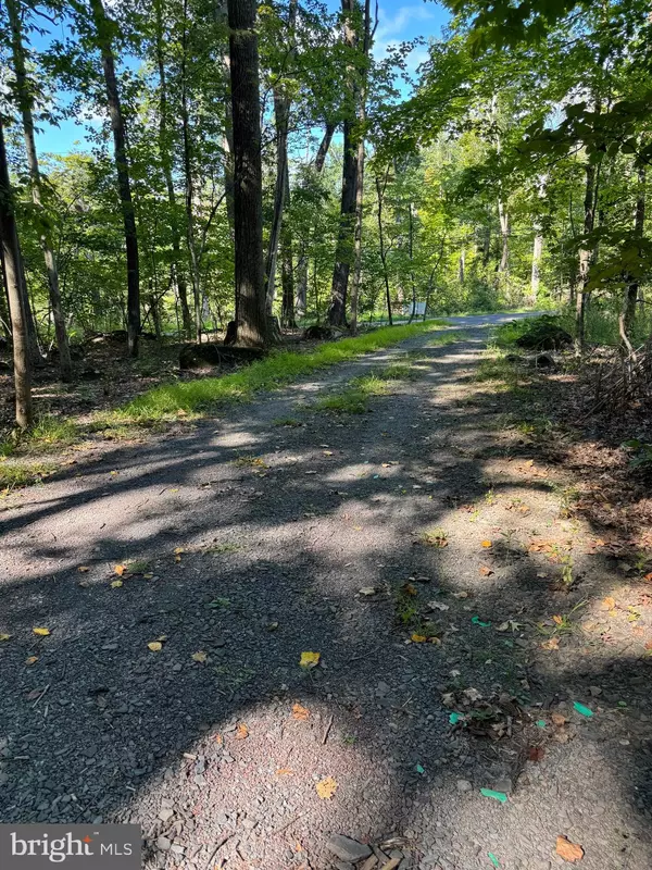 Upper Black Eddy, PA 18972,468 ROCK RIDGE RD