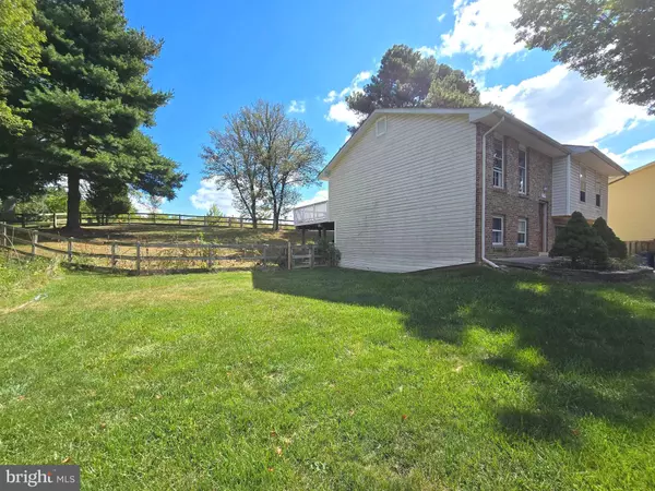 Columbia, MD 21045,7010 FOLDED PALM