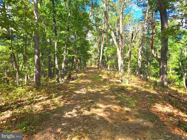 Augusta, WV 26704,LOT 8 HARPER DRIVE