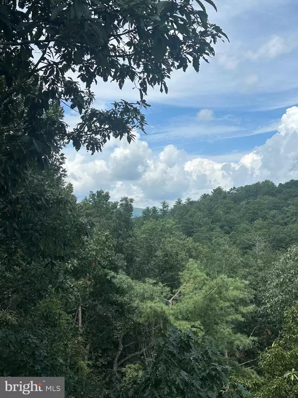 Basye, VA 22810,20 EWALLS RIDGE RD