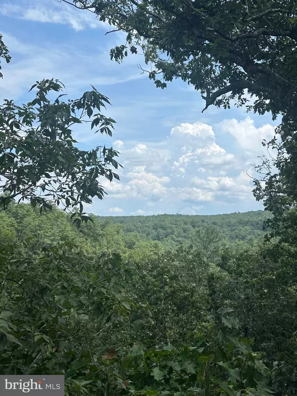 Basye, VA 22810,20 EWALLS RIDGE RD