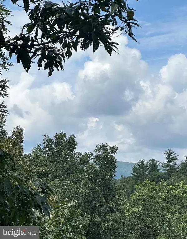 20 EWALLS RIDGE RD, Basye, VA 22810