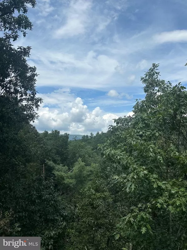 Basye, VA 22810,20 EWALLS RIDGE RD