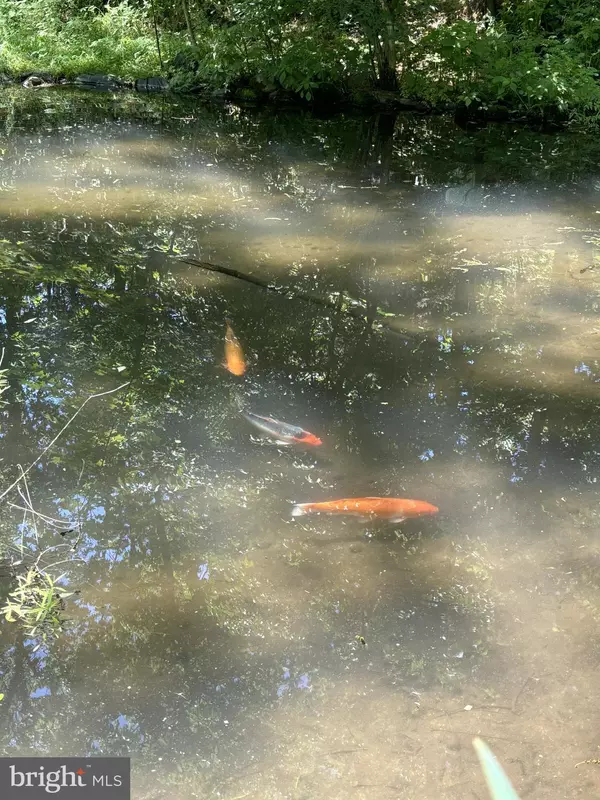 Bangor, PA 18013,EO LITTLE CREEK RD