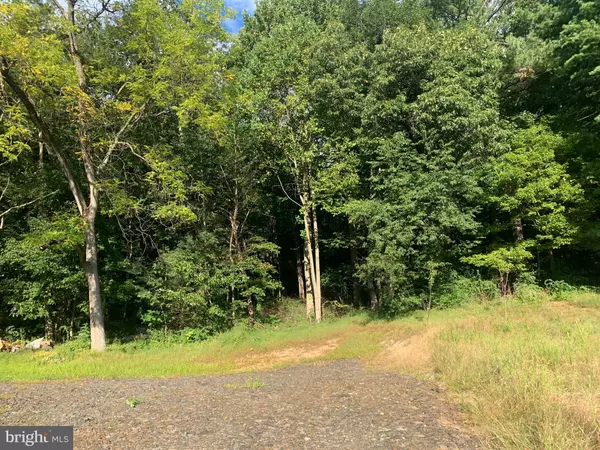 Mc Connellsburg, PA 17233,PEACH ORCHARD RD