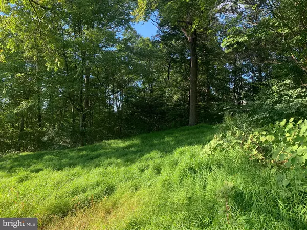 Mc Connellsburg, PA 17233,PEACH ORCHARD RD