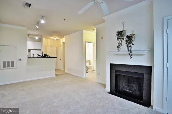 Vienna, VA 22181,9490 VIRGINIA CENTER BLVD #331