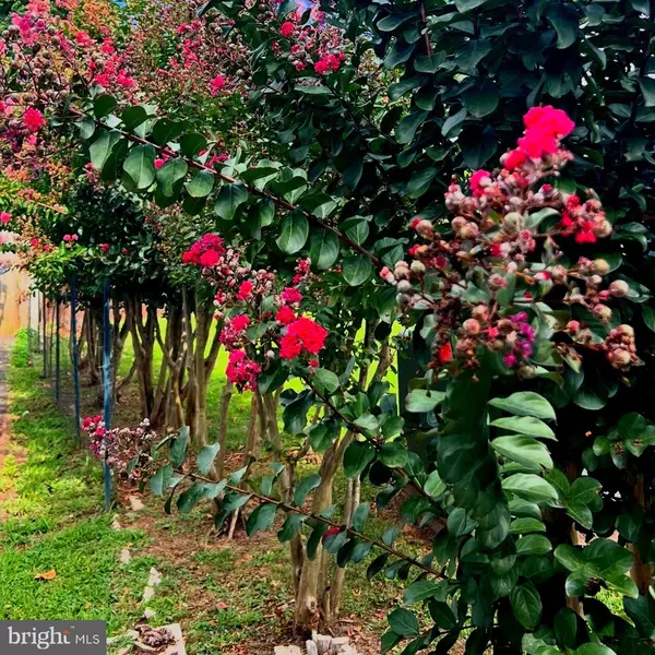 Woodbridge, VA 22193,14160 LANDON LN