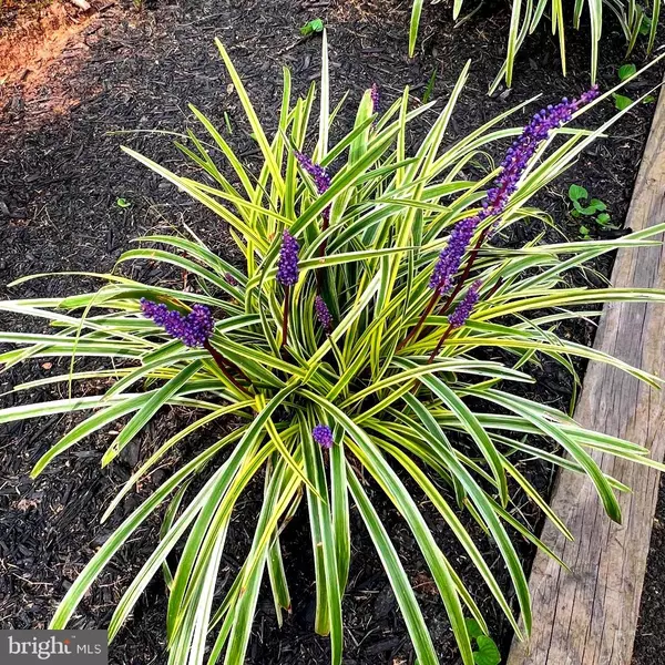 Woodbridge, VA 22193,14160 LANDON LN