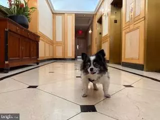 Philadelphia, PA 19102,1500 CHESTNUT ST #6D