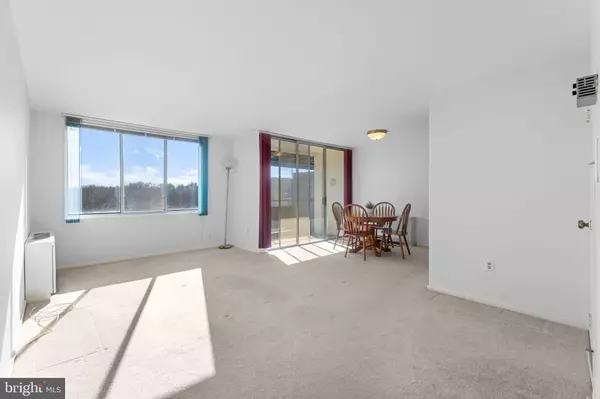 Alexandria, VA 22307,6621 WAKEFIELD DR #910