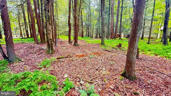 Lake Ariel, PA 18436,LOT 207 CYGNUS RD