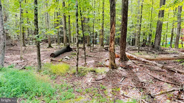Lake Ariel, PA 18436,12 ANDROMEDA CIR