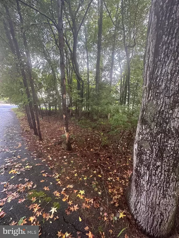 Ocean Pines, MD 21811,226 CHARLESTON RD