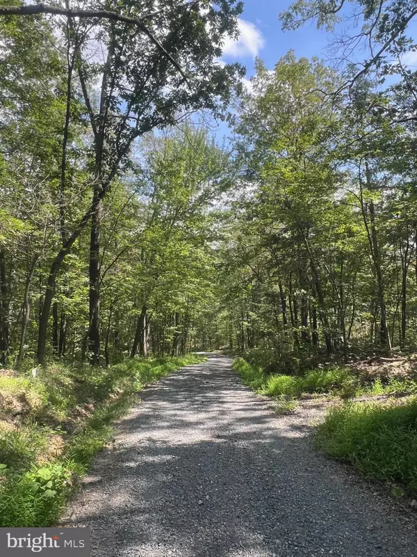 New Market, VA 22844,LOT 17 LAKE DR