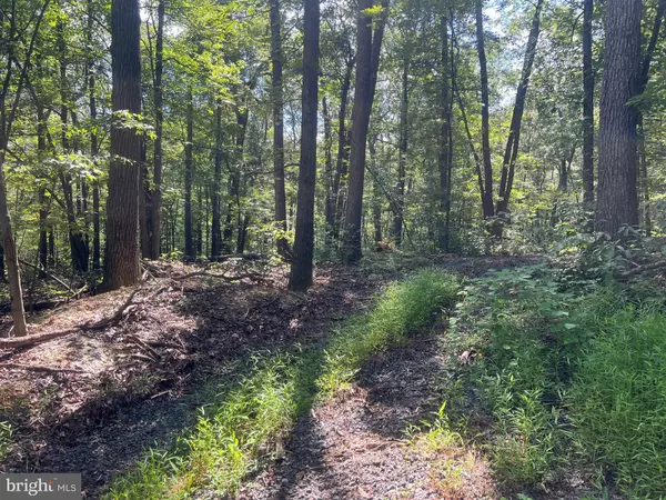 New Market, VA 22844,LOT 17 LAKE DR