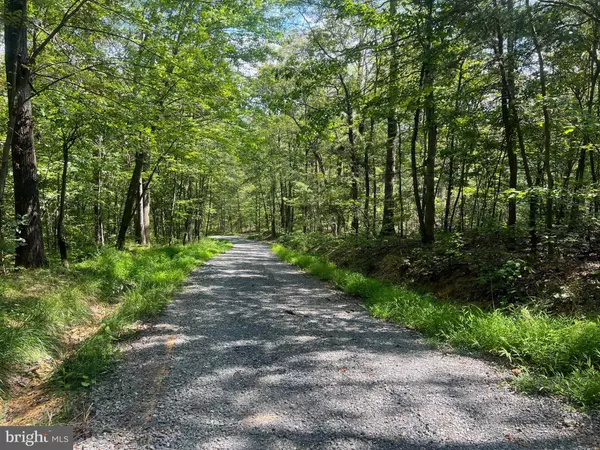 New Market, VA 22844,LOT 17 LAKE DR