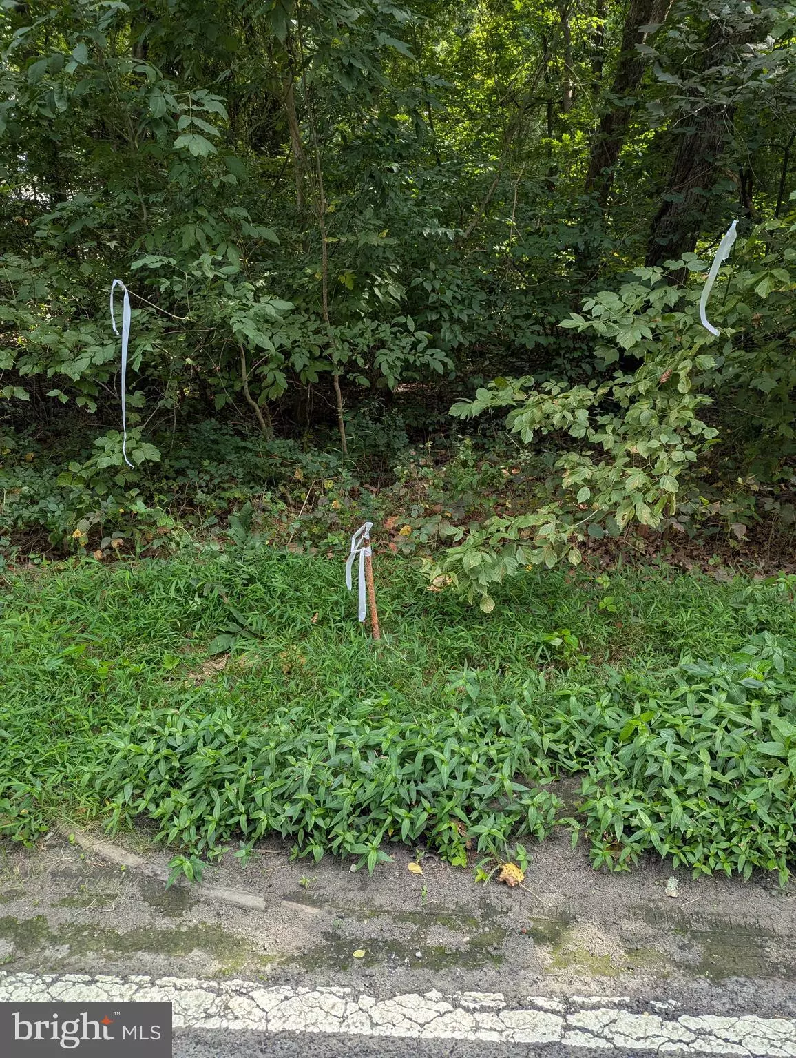Brandywine, MD 20613,APPROXIMATELY 3671 FLORAL PARK RD