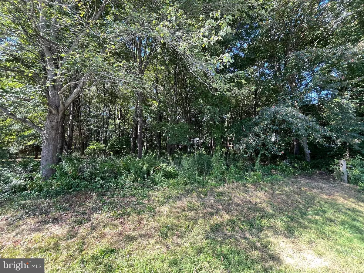 Delta, PA 17314,LOT #3 BLUE BIRD TRL