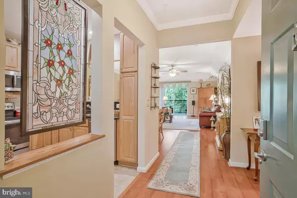 Elkridge, MD 21075,7315 MAPLECREST RD #405