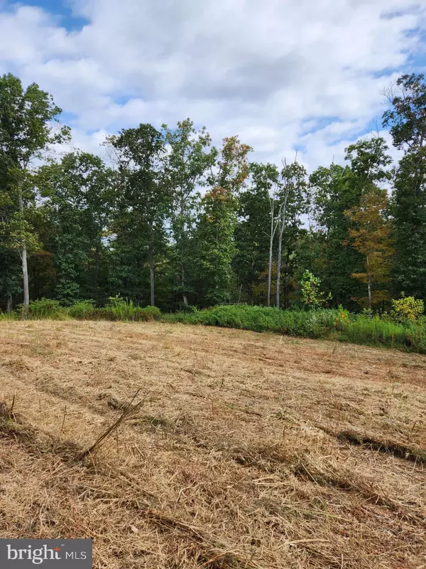 Berkeley Springs, WV 25411,1950 MESNER RD