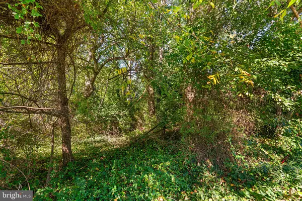 Clarksburg, MD 20871,14208 LEWISDALE RD