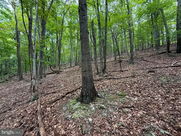 Mathias, WV 26812,LOT 18B WITS END