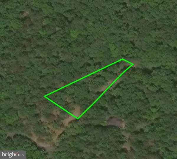 Basye, VA 22810,LOT 41 NICKLAUS