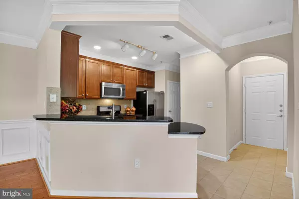 Leesburg, VA 20175,503 SUNSET VIEW TER SE #208