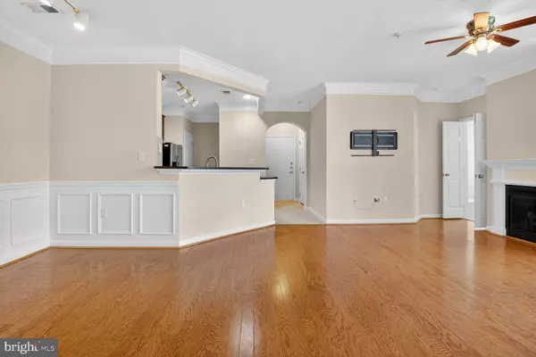 Leesburg, VA 20175,503 SUNSET VIEW TER SE #208