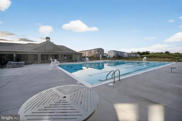 Lake Frederick, VA 22630,153 LEATHER FLOWER DR