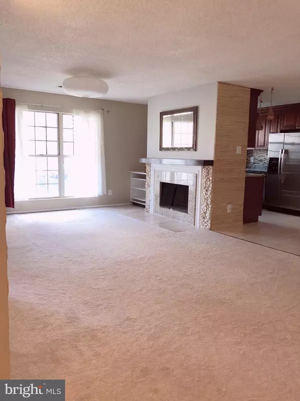 Leesburg, VA 20176,1118 HUNTMASTER TER NE #202