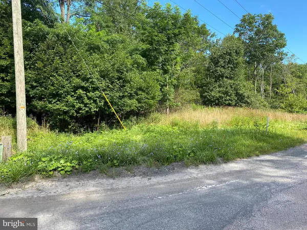 Swanton, MD 21561,TBD UPPER GREEN GLADE RD
